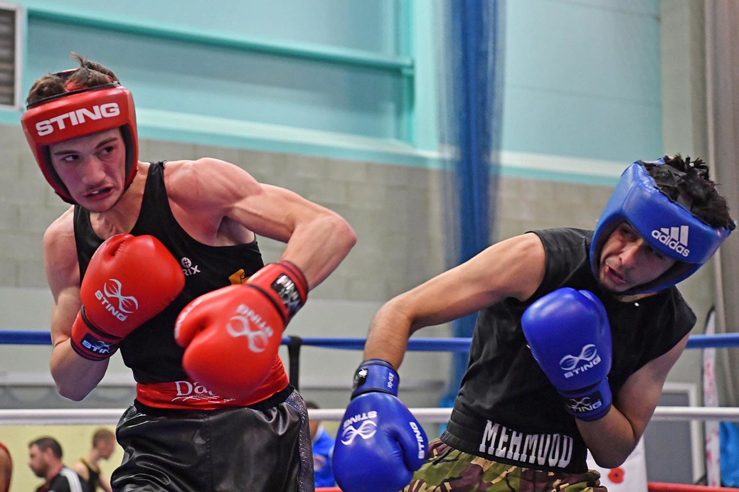 Development Championships 2019 Finals - day one round-up - England Boxing